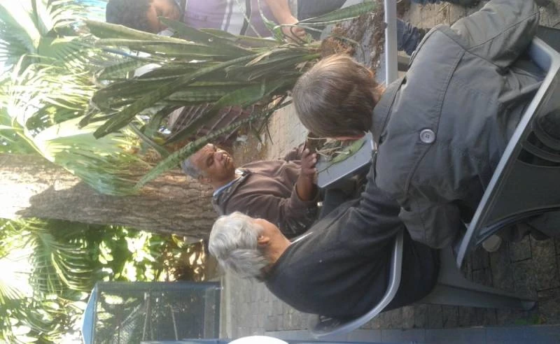 clínicas de repouso em são paulo