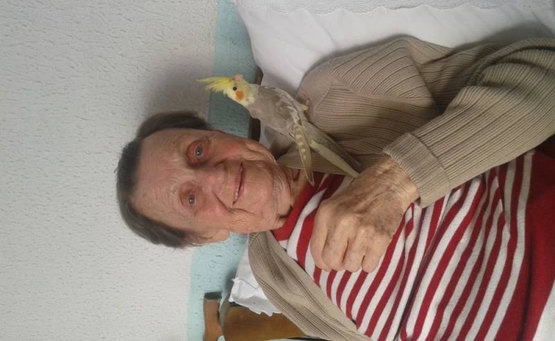 Clínica e Casa Geriátrica Vila Formosa Clínica e Casa Geriátrica Vila Formosa