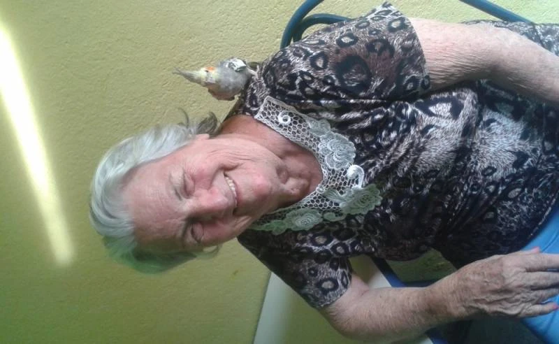 Onde Encontrar Hospedagem para Idoso com Alzheimer Limão Onde Encontrar Hospedagem para Idoso com Alzheimer Limão