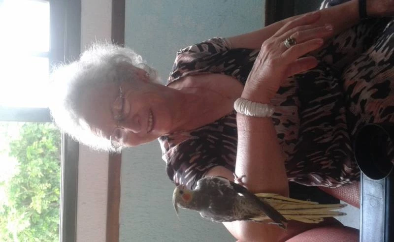 Clínica de Hospedagem de Baixa Permanência para Idosos Vila Maria Baixa Clínica de Hospedagem de Baixa Permanência para Idosos Vila Maria Baixa