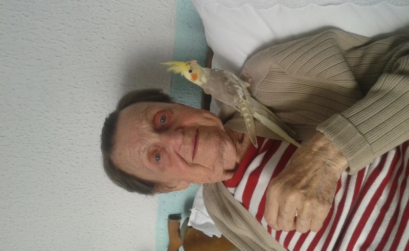 moradia de idoso com alzheimer