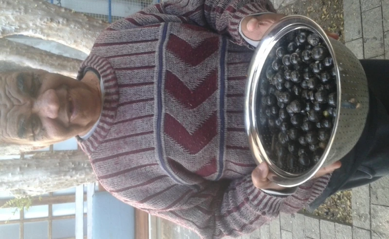 Buscar Casa com Idosos na Chácara Tatuapé Buscar Casa com Idosos na Chácara Tatuapé