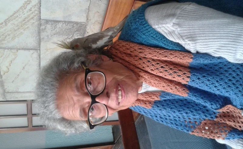 Onde Encontrar Casas de Repouso no Jardim Jaçanã Onde Encontrar Casas de Repouso no Jardim Jaçanã