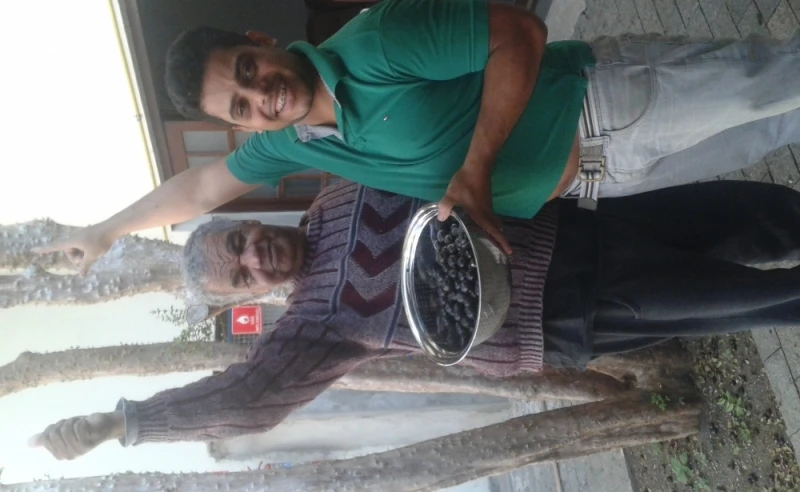 moradia para idosos com alzheimer particular