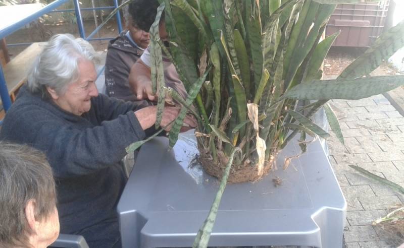 Buscando Onde Encontrar Casas de Repouso no Jardim Haia do Carrão - Casa de Idosos